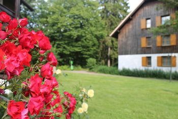 Outdoor Pictures 21