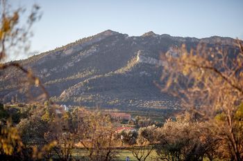 Outdoor Pictures 21