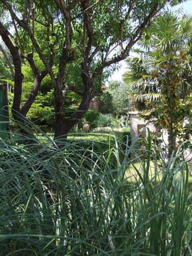 Outdoor Pictures 11
