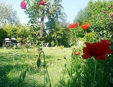 Outdoor Pictures 7