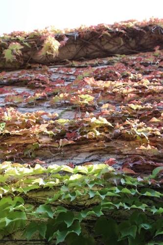 Outdoor Pictures 21