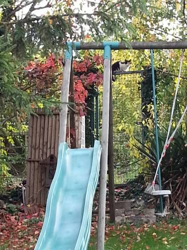 Outdoor Pictures 23