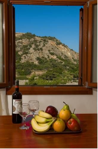 Outdoor Pictures 4
