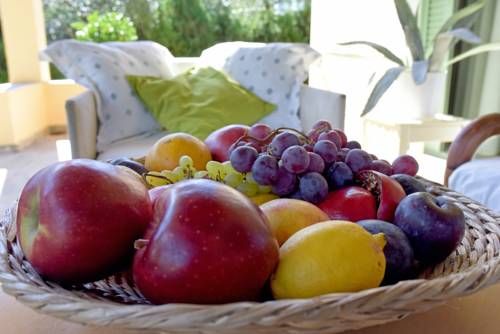 Outdoor Pictures 7