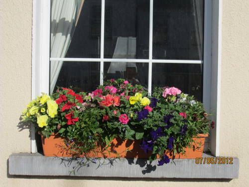 Outdoor Pictures 15