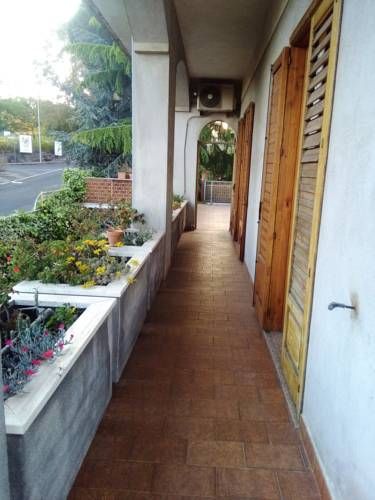 Outdoor Pictures 15