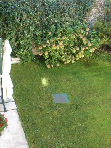 Outdoor Pictures 18