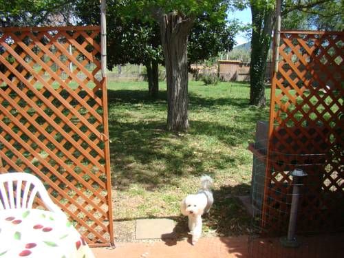 Outdoor Pictures 16