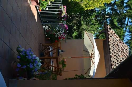 Outdoor Pictures 24