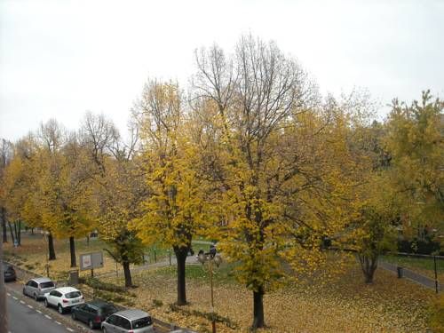 Outdoor Pictures 22
