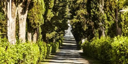 Outdoor Pictures 23