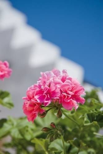 Outdoor Pictures 15