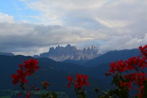 Outdoor Pictures 15
