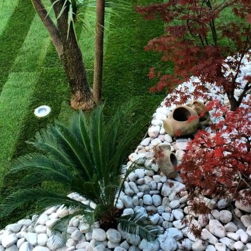 Outdoor Pictures 19
