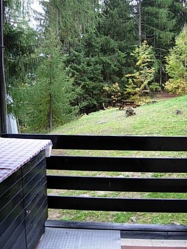 Outdoor Pictures 20