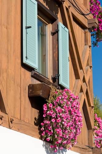 Outdoor Pictures 24