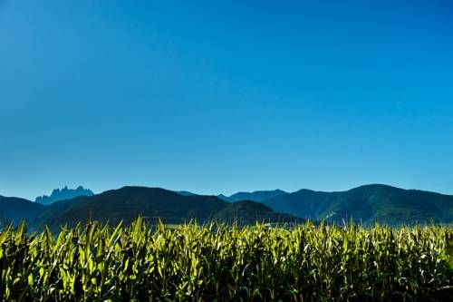 Outdoor Pictures 22