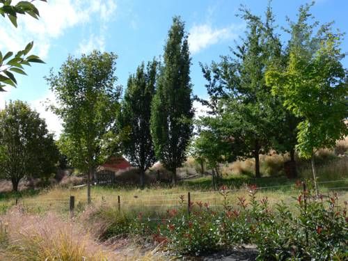 Outdoor Pictures 12