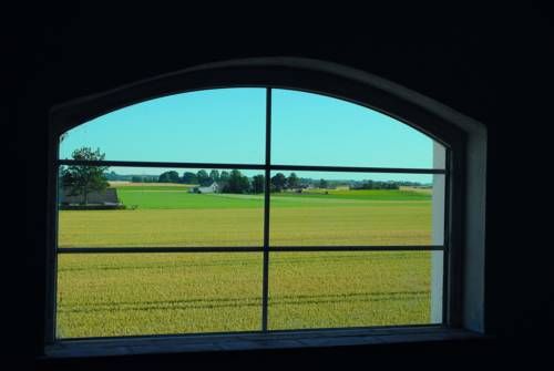 Outdoor Pictures 15