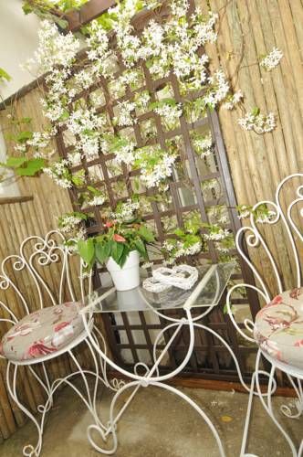 Outdoor Pictures 20