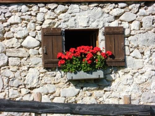 Outdoor Pictures 23