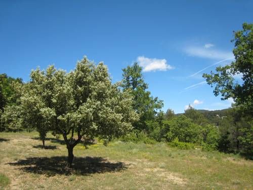 Outdoor Pictures 15