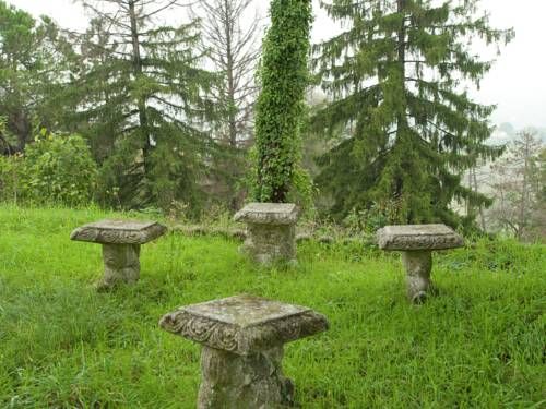 Outdoor Pictures 18