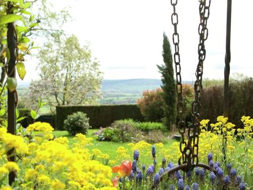 Outdoor Pictures 22