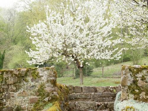 Outdoor Pictures 17