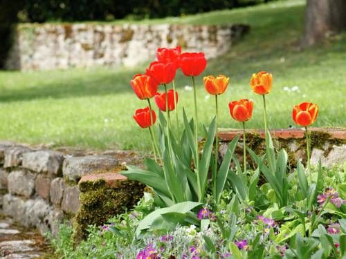 Outdoor Pictures 23