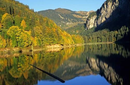 Outdoor Pictures 20