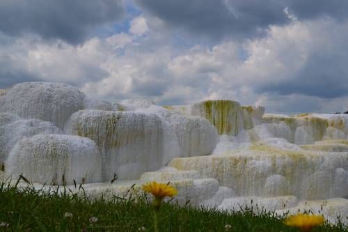 Outdoor Pictures 20