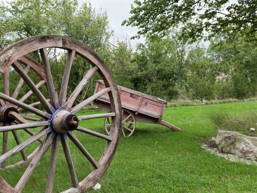 Outdoor Pictures 15