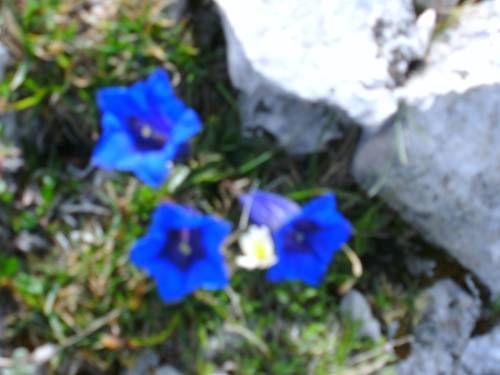 Outdoor Pictures 21