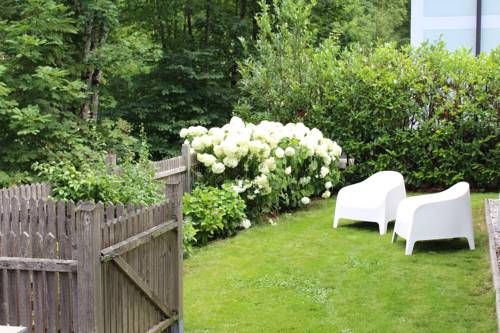 Outdoor Pictures 16