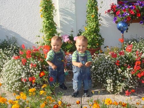 Outdoor Pictures 8
