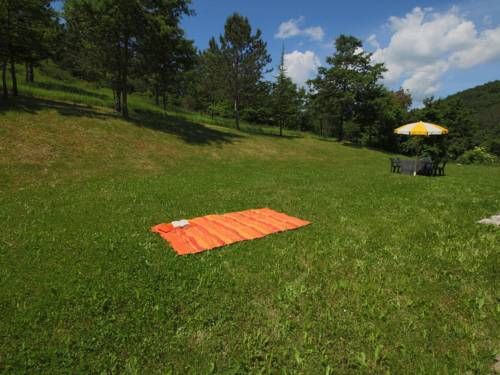 Outdoor Pictures 15