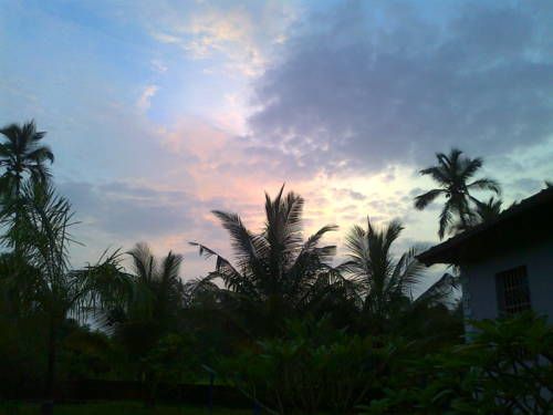 Outdoor Pictures 21