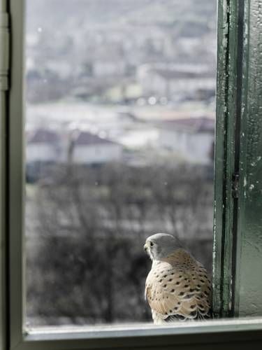 Outdoor Pictures 21