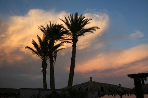 Outdoor Pictures 19