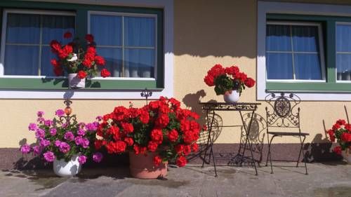 Outdoor Pictures 15