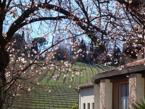 Outdoor Pictures 15