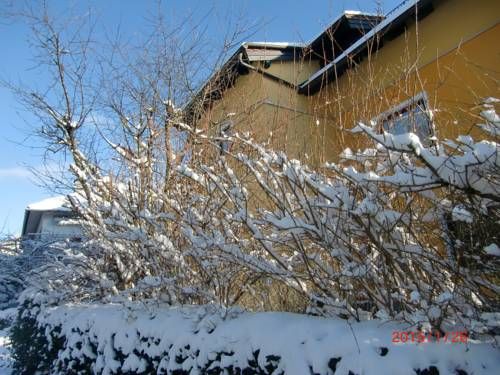 Outdoor Pictures 18