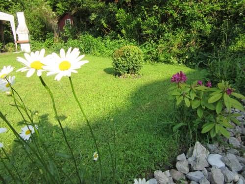Outdoor Pictures 19