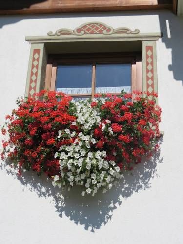 Outdoor Pictures 21