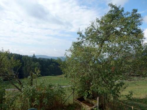Outdoor Pictures 17
