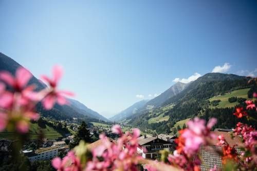 Outdoor Pictures 20