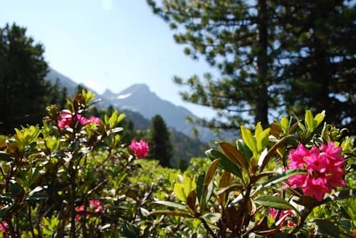 Outdoor Pictures 20