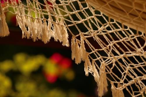 Outdoor Pictures 22