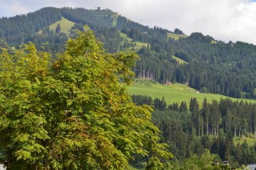 Outdoor Pictures 22